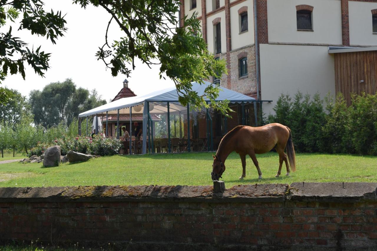 Ferienanlage Gutshaus Gramkow Екстериор снимка